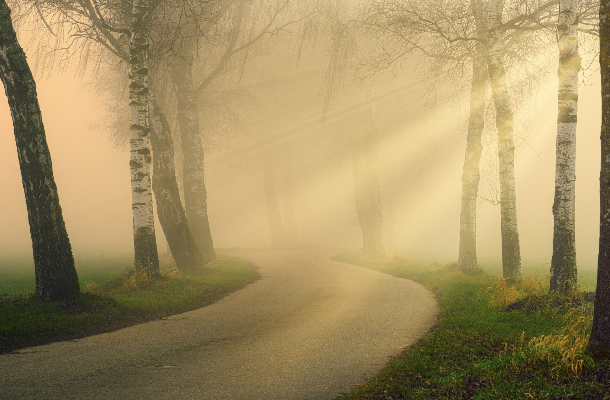 Il percorso di sviluppo personale Idora